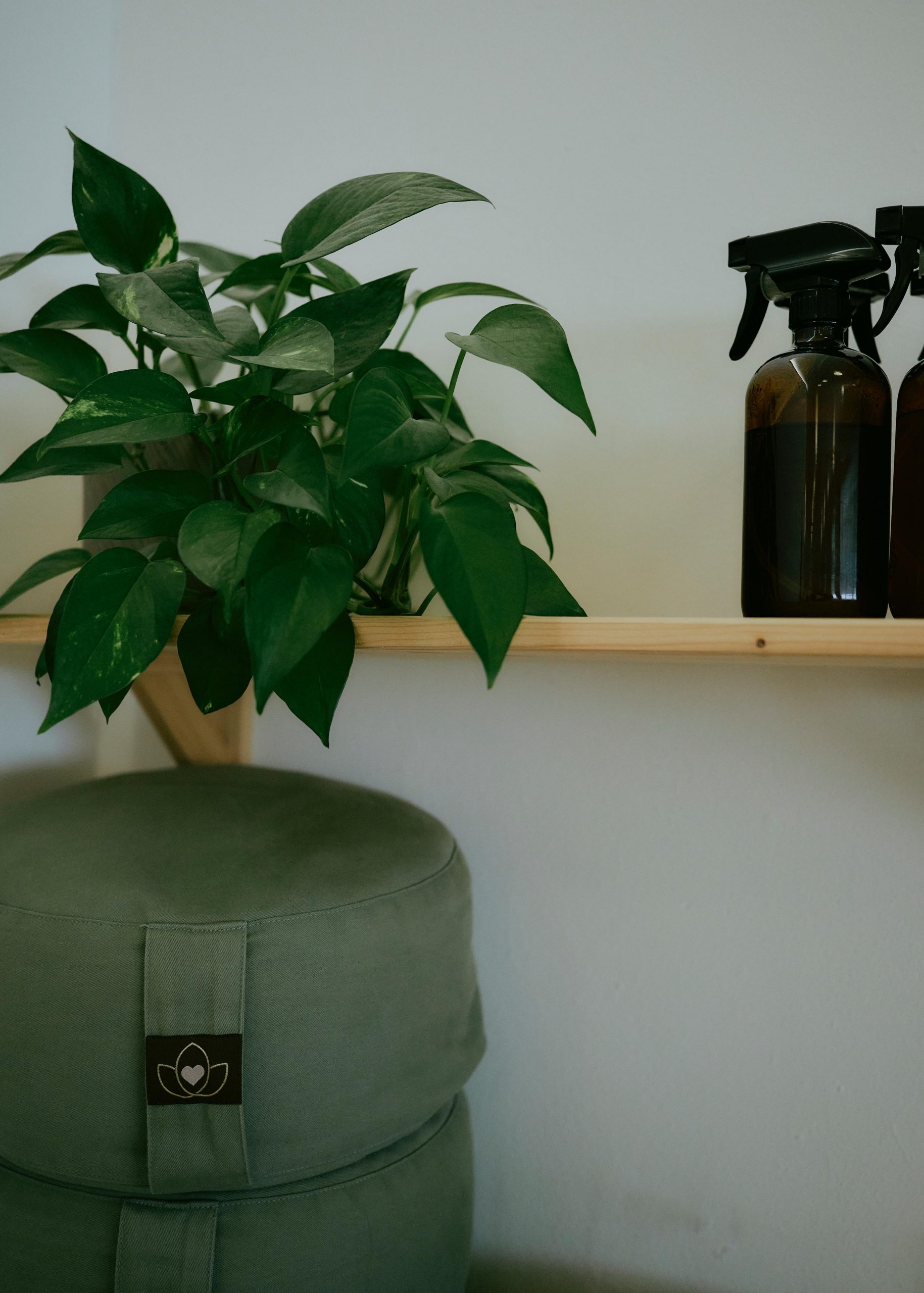 WhatsApp Image 2026-03-19 at 12.08.57